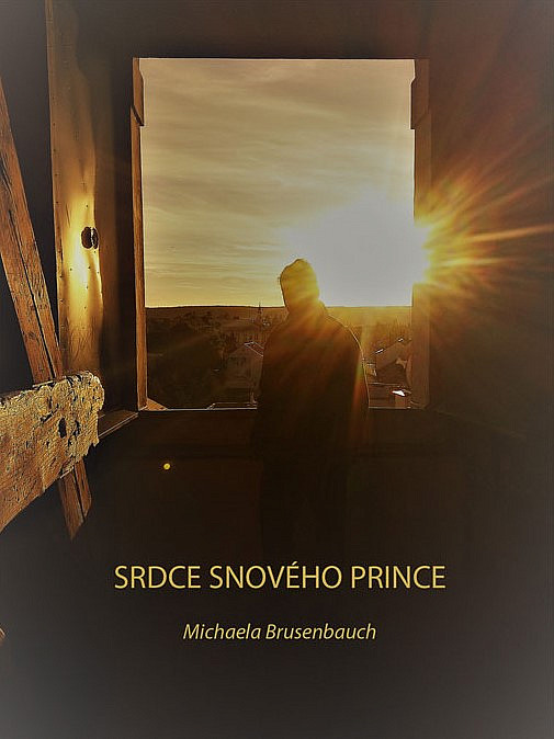 kniha srdce snového prince